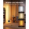 imageGovee Floor Lamp 2 with Matter RGBIC Warm Cool White LED Alexa Compatible 1725lm Music Sync Scene Modes Smart Floor Lamp for Living Room Bedroom Silver1 PackBlue
