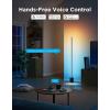 imageGovee Floor Lamp 2 with Matter RGBIC Warm Cool White LED Alexa Compatible 1725lm Music Sync Scene Modes Smart Floor Lamp for Living Room Bedroom Silver1 PackBlue