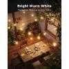 imageGovee Outdoor Clear Bulb String Lights 48ft RGBWIC Outdoor Lights with 15 Dimmable Warm White LED Bulbs 111 Scene Modes for Patio Backyard IP67 Waterproof Works with Alexa Google ampamp Matter48ft