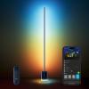 imageGovee Floor Lamp 2 with Matter RGBIC Warm Cool White LED Alexa Compatible 1725lm Music Sync Scene Modes Smart Floor Lamp for Living Room Bedroom Silver1 PackBlue