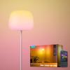 imageGovee Lantern Floor Lamp Halo Gradient RGBIC Smart Corner Lamp with LuminBlend 1000K10000K Matter Compatible 100 Scene Modes Music Sync 1400lm Modern Floor Lamps for Living Room WhiteWhite