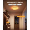 image:imageGovee Smart Ceiling Light Pro 18 Inch 4800LM RGBICWW LED Ceiling Light Fixture Flush Mount Light Fixture DIY Colors Works with Alexa Matter 2700K6500K Lights for Living Room Bedroom 1 PackSquare