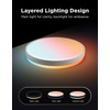 image:imageGovee Smart Ceiling Light Pro 18 Inch 4800LM RGBICWW LED Ceiling Light Fixture Flush Mount Light Fixture DIY Colors Works with Alexa Matter 2700K6500K Lights for Living Room Bedroom 1 PackRound